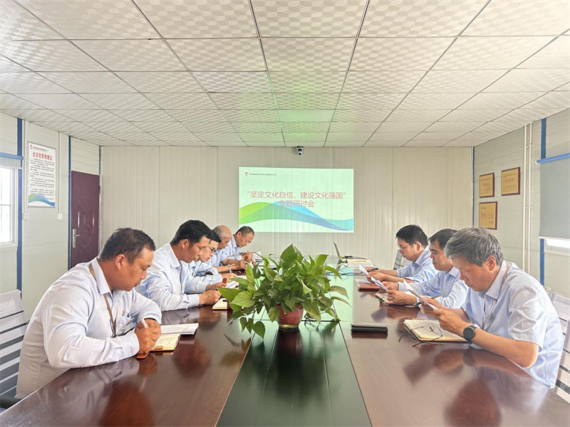 (三)公司所属各单位开展坚定文化自信 建设文化强国专题研讨